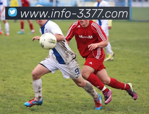 3377体育平台生态图