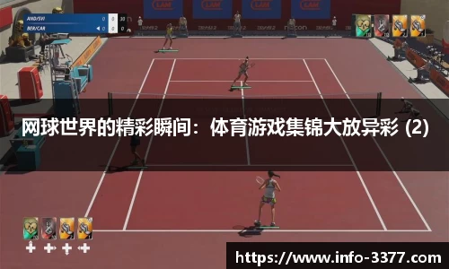 网球世界的精彩瞬间：体育游戏集锦大放异彩 (2)
